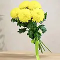 Желтые хризантемы Желтые хризантемы